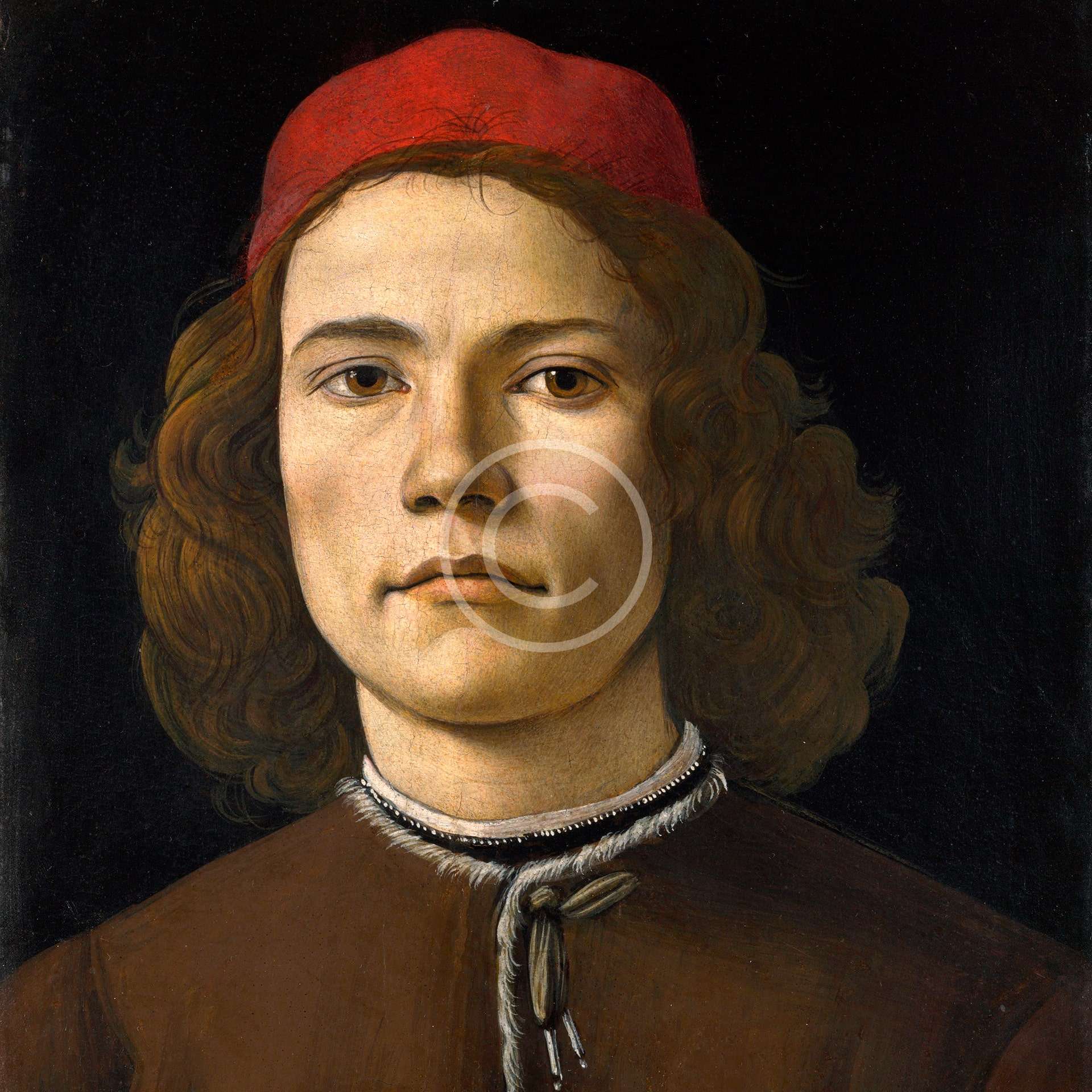 Portrait of a Young Man